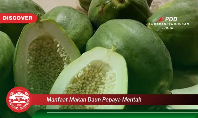 manfaat makan daun pepaya mentah