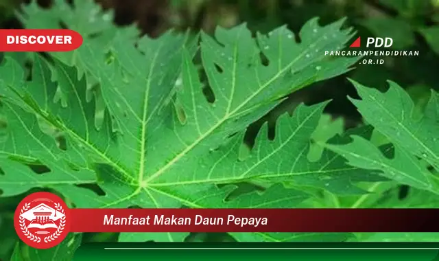 manfaat makan daun pepaya