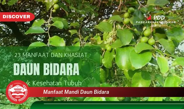 manfaat mandi daun bidara