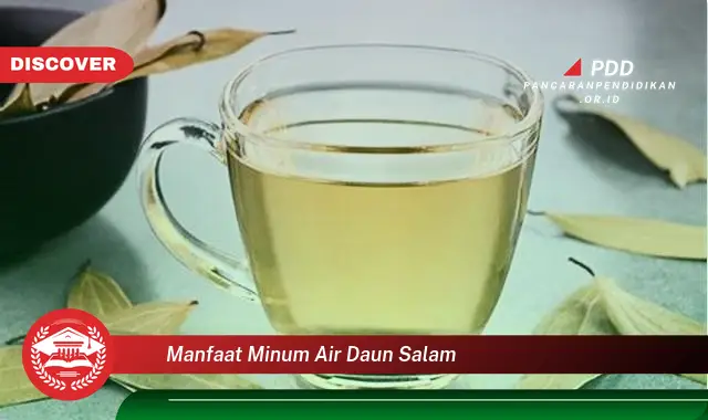 manfaat minum air daun salam