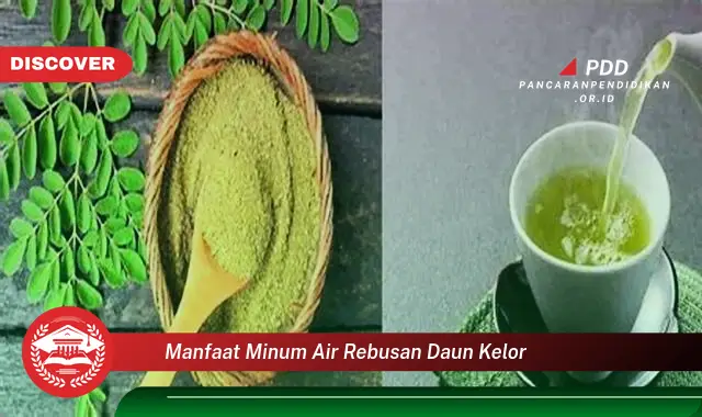 manfaat minum air rebusan daun kelor