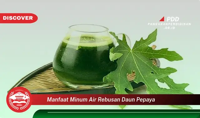 manfaat minum air rebusan daun pepaya