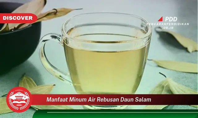 manfaat minum air rebusan daun salam