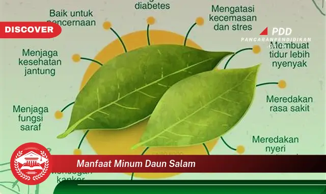 manfaat minum daun salam