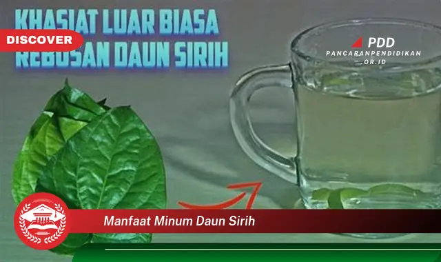 manfaat minum daun sirih