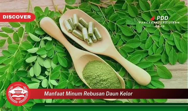 manfaat minum rebusan daun kelor