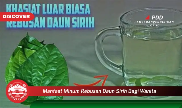 manfaat minum rebusan daun sirih bagi wanita