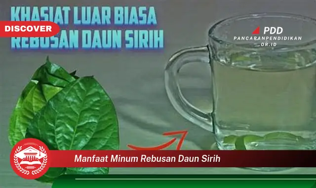 manfaat minum rebusan daun sirih