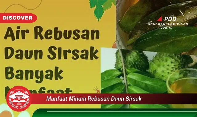 manfaat minum rebusan daun sirsak