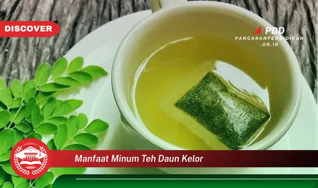 manfaat minum teh daun kelor