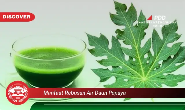 manfaat rebusan air daun pepaya
