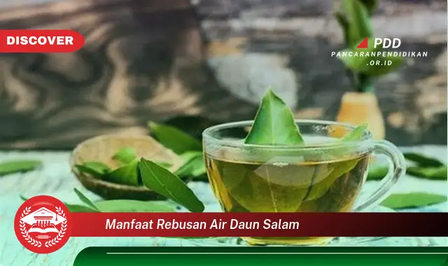 manfaat rebusan air daun salam