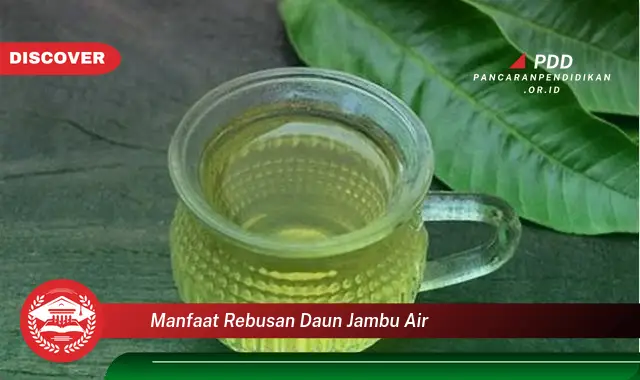 manfaat rebusan daun jambu air