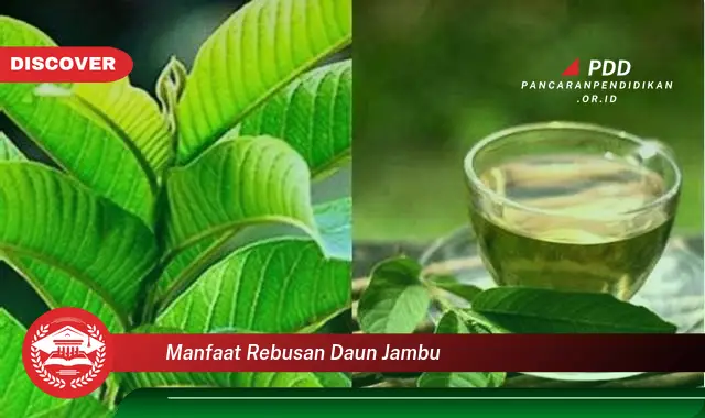 manfaat rebusan daun jambu