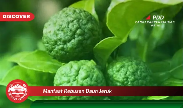 manfaat rebusan daun jeruk