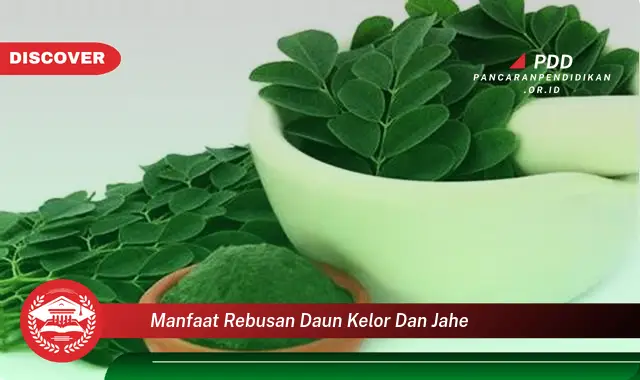 manfaat rebusan daun kelor dan jahe