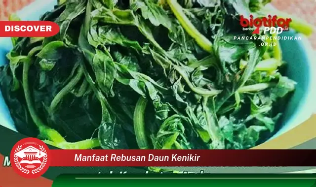 manfaat rebusan daun kenikir