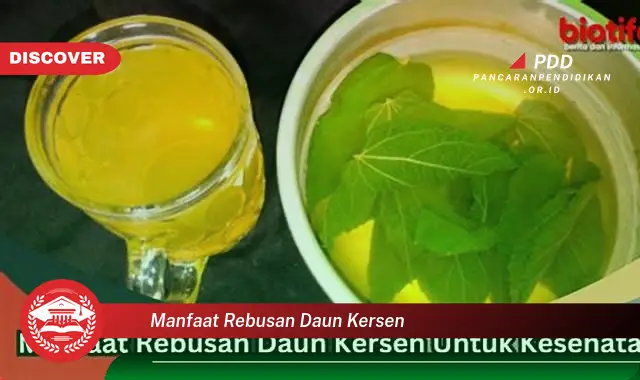 manfaat rebusan daun kersen