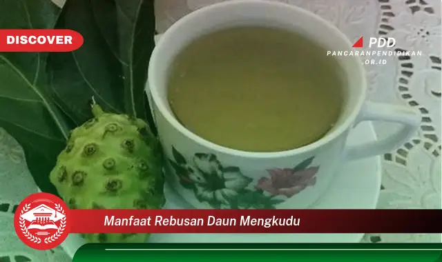 manfaat rebusan daun mengkudu