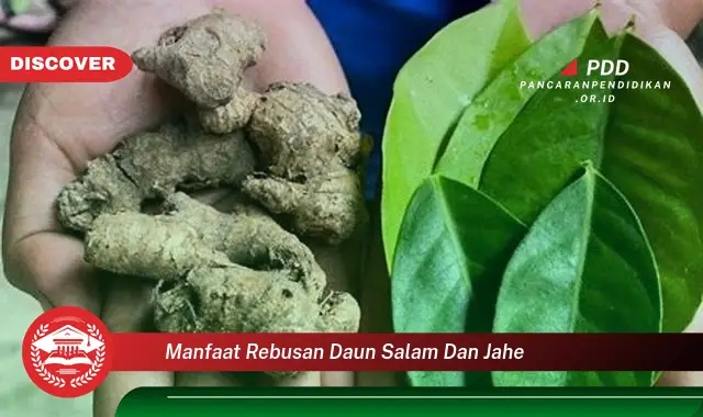 manfaat rebusan daun salam dan jahe