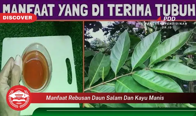 manfaat rebusan daun salam dan kayu manis