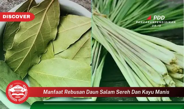 manfaat rebusan daun salam sereh dan kayu manis