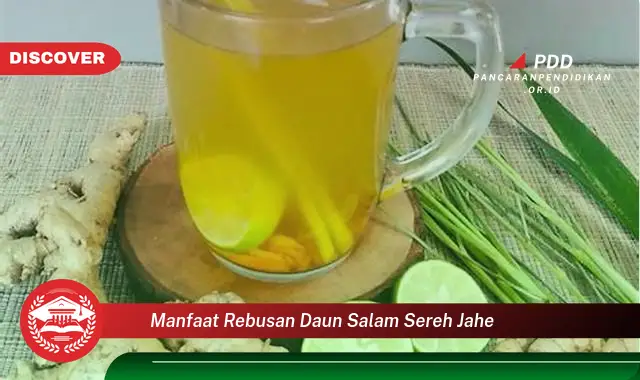 manfaat rebusan daun salam sereh jahe