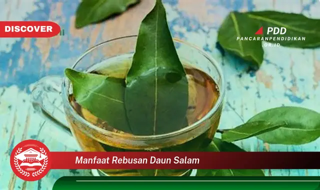 manfaat rebusan daun salam