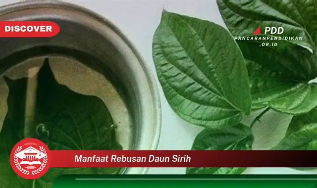 manfaat rebusan daun sirih