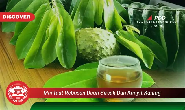 manfaat rebusan daun sirsak dan kunyit kuning