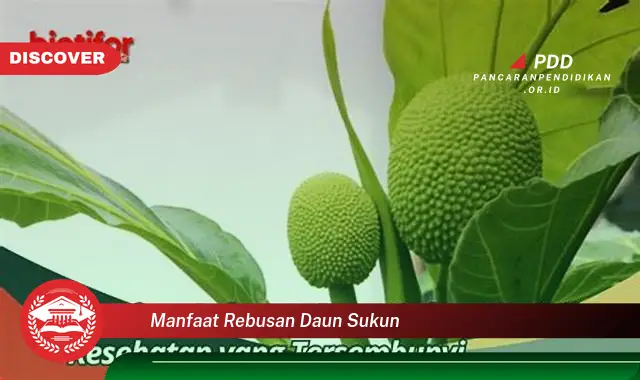 manfaat rebusan daun sukun