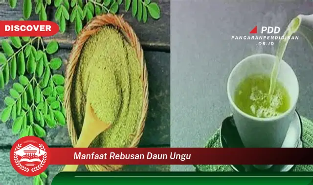 manfaat rebusan daun ungu