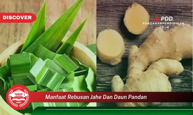 manfaat rebusan jahe dan daun pandan manfaat rebusan jahe dan daun pandan