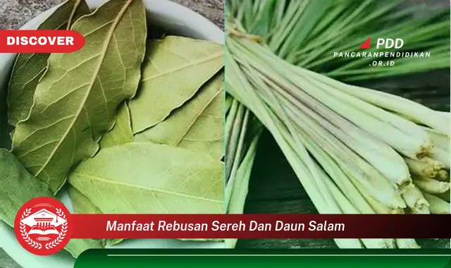 manfaat rebusan sereh dan daun salam