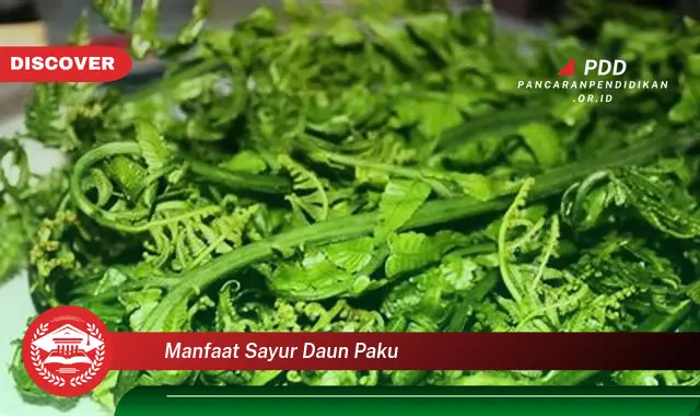 manfaat sayur daun paku