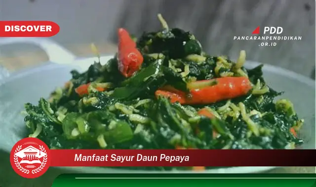 manfaat sayur daun pepaya