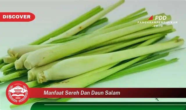 manfaat sereh dan daun salam