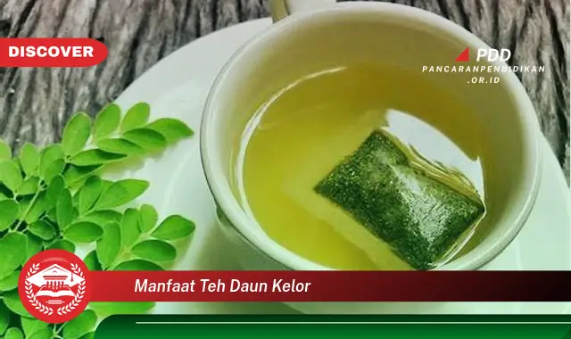 manfaat teh daun kelor