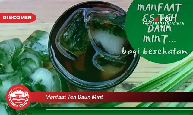 manfaat teh daun mint