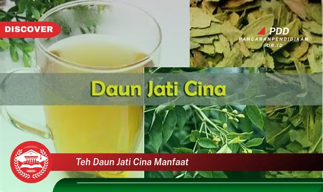 teh daun jati cina manfaat