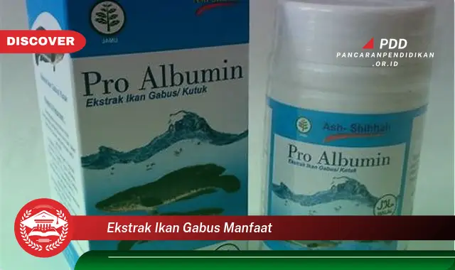 ekstrak ikan gabus manfaat