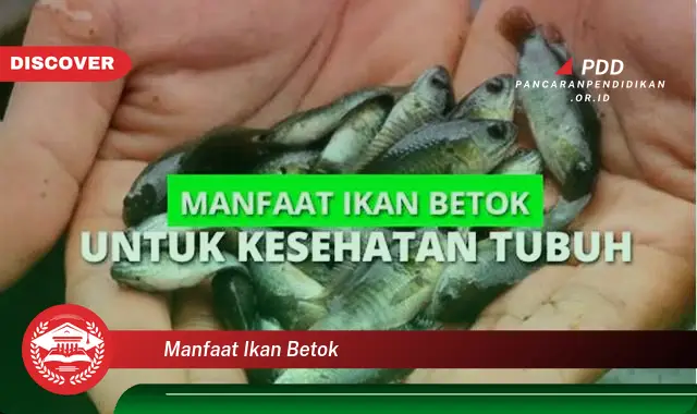 manfaat ikan betok