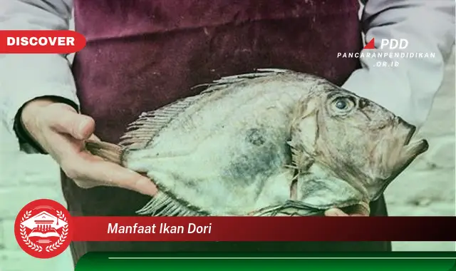 manfaat ikan dori