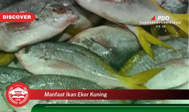 Kamu Wajib Tahu, Ini Dia 30 Manfaat Ikan Ekor Kuning yang Bikin Penasaran