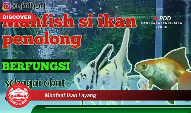 manfaat ikan layang