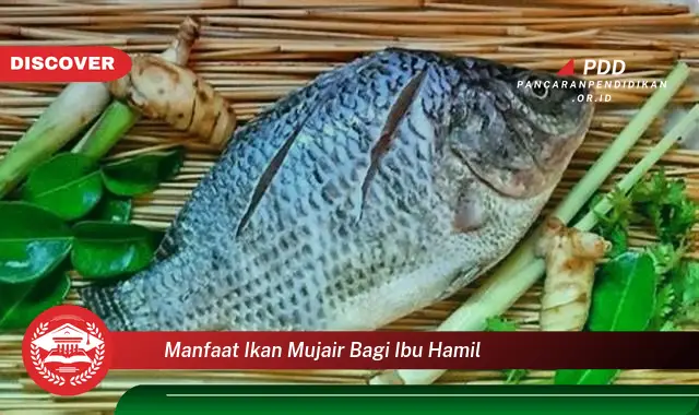 manfaat ikan mujair bagi ibu hamil