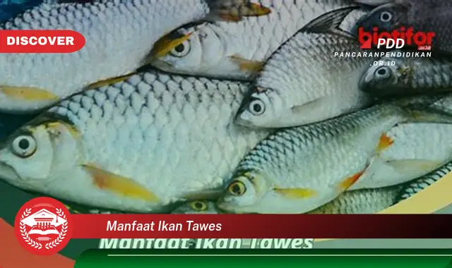 manfaat ikan tawes