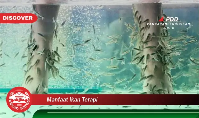 manfaat ikan terapi