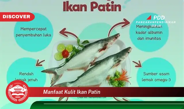 manfaat kulit ikan patin