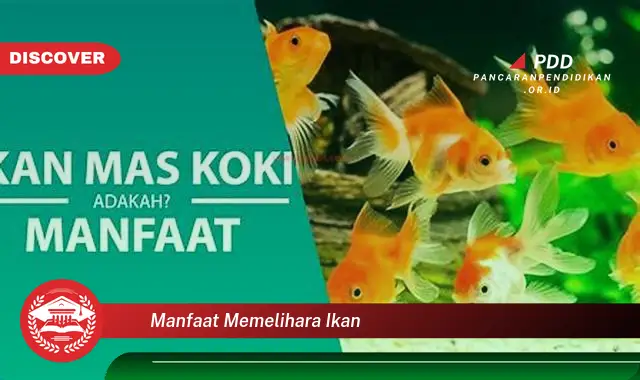 manfaat memelihara ikan